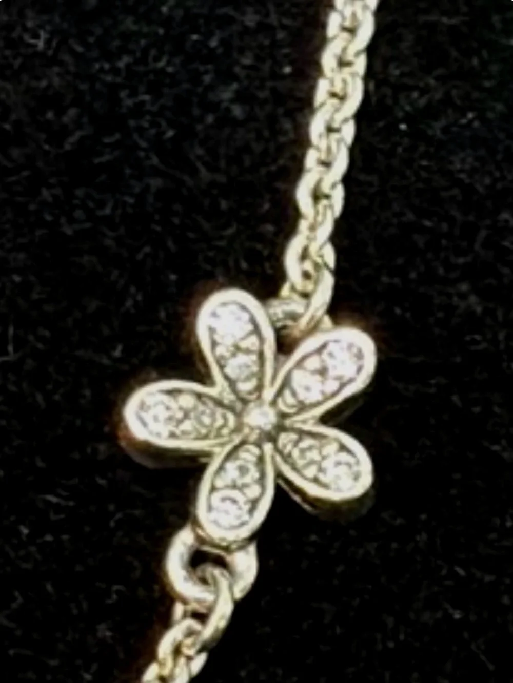 Pandora Sterling 925 Silver Poetic Blooms Bolo Necklace 590518ENMX-.22
